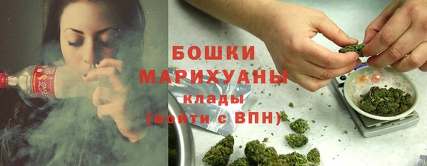 индика Мегион