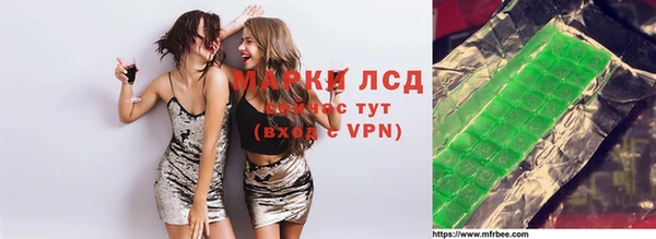 индика Мегион