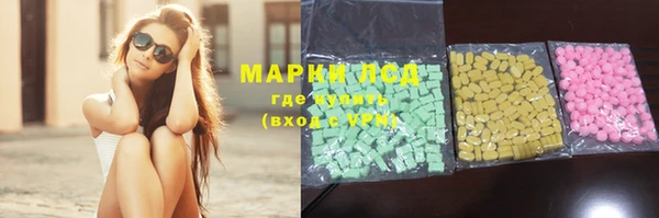 гидропоника Медногорск