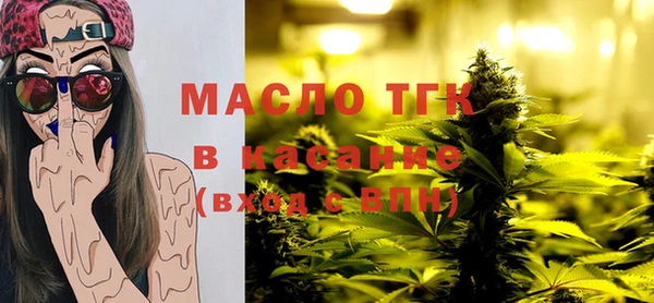 индика Мегион