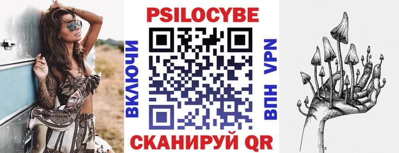 как найти закладки мориарти Telegram Псилоцибиновые грибы ЛСД Вичуга