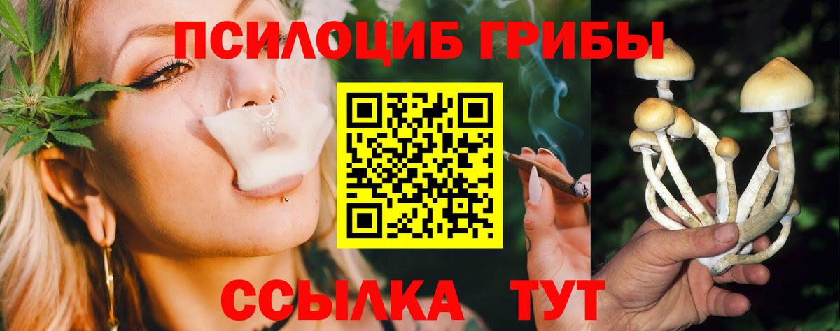 Вичуга  Галлюциногенные грибы ЛСД  Вход с VPN  Галлюциногенные грибы GOLDEN TEACHER 