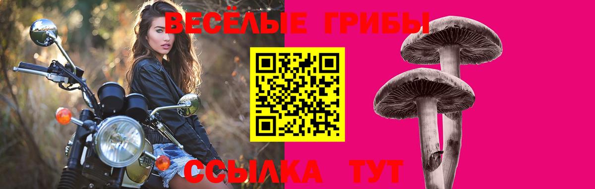 Галлюциногенные грибы прущие грибы Вичуга