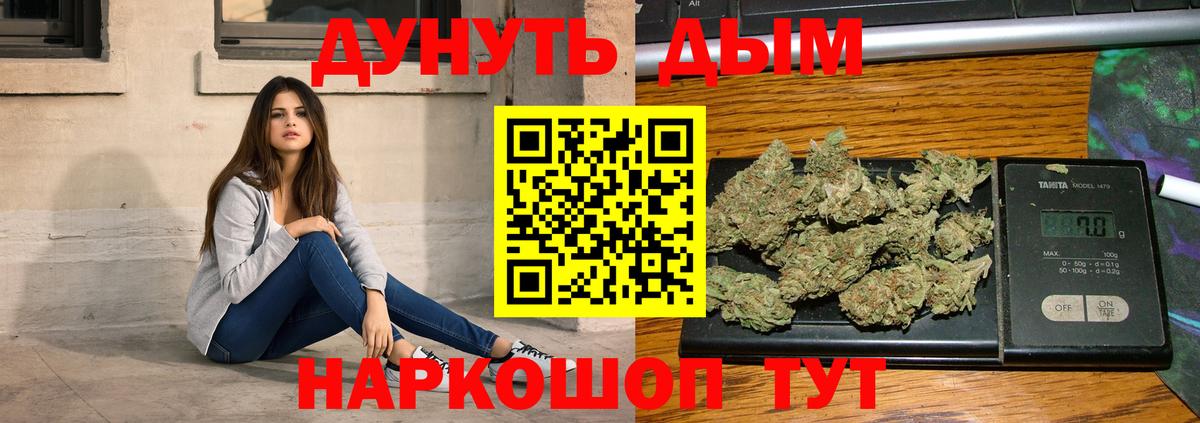 Вичуга  Бошки Шишки план  Бошки Шишки SATIVA & INDICA  Вход с VPN  Каннабис индика 